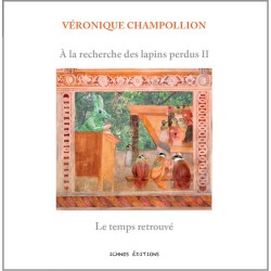 couverture À la recherche des lapins perdus II