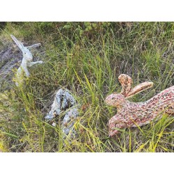 carcasses de lapins
